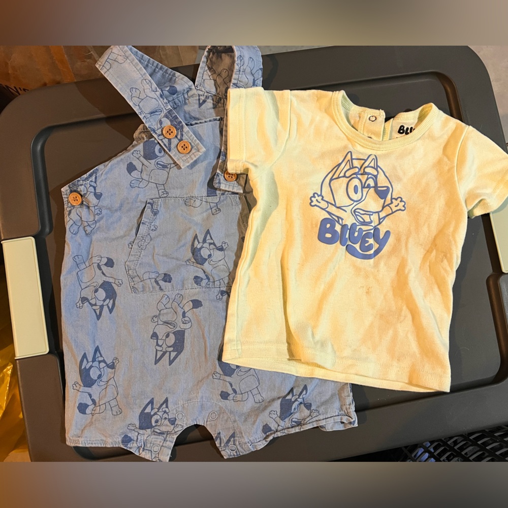 Bluey Themed Outfit Set